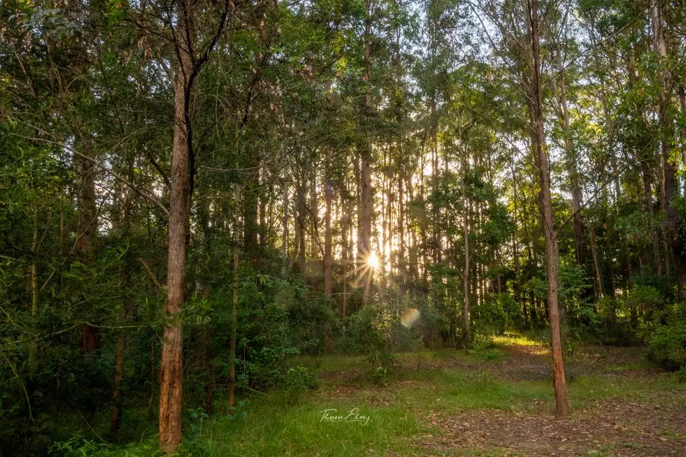 bunyips-hideaway-hunter-valley